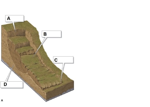   -This figure shows what kind of mass movement?