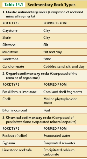 <strong> Referring to Table 14.1, which lithifies into fossiliferous limestone?</strong> A)shell fragments from coral reefs B)sand C)peat soils D)evaporated seawater