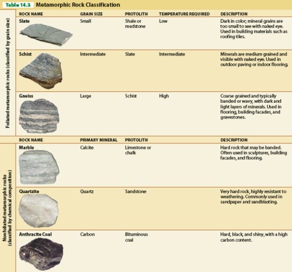<strong> Referring to Table 14.3, which type of metamorphic rock is nonfoliated?</strong> A)anthracite coal B)schist C)gneiss D)slate