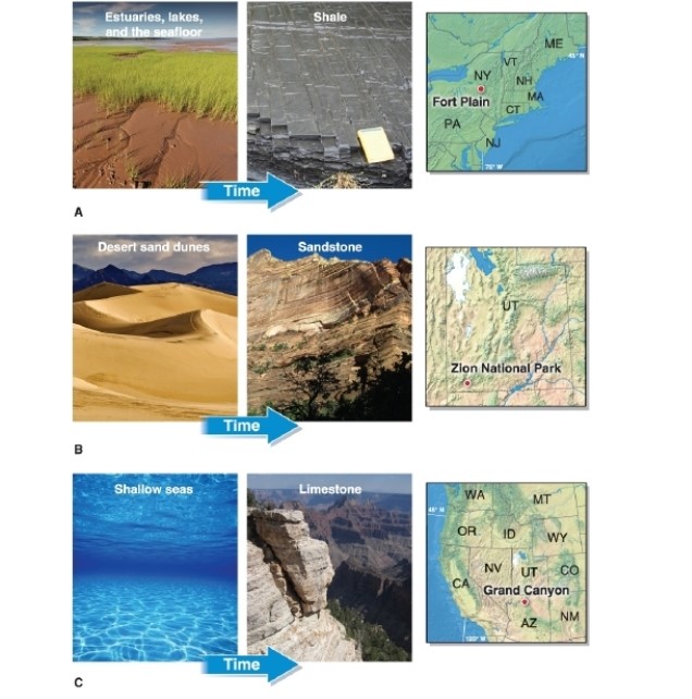 -Referring to the figure, limestone is most likely to form in which geographic environments?