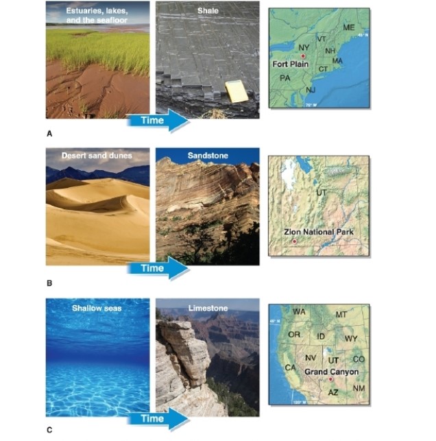 -Referring to the figure, sandstone is most likely to form in which geographic environment(s)?