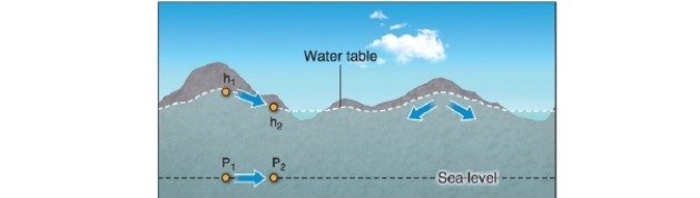 <strong> -In the figure, water flows from points P<sub>1</sub> to P<sub>2</sub> because __________.</strong> A)there is less hydraulic pressure at P<sub>1</sub> than P<sub>2</sub> B)there is more hydraulic pressure at P<sub>1</sub> than P<sub>2</sub> C)there is an upward slope from P<sub>1</sub> to P<sub>2</sub> D)there is a downward slope from P<sub>1</sub> to P<sub>2</sub>