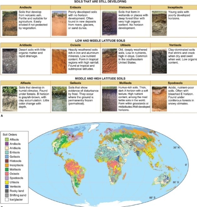 -According to the figure, soils developed from volcanic ash are called __________.