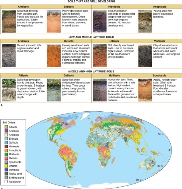 -According to the figure, which type of soil is common in the southeastern United States?