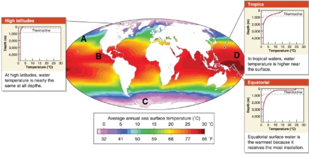 <strong> Organisms that are pelagic __________.</strong> A)occupy high trophic levels B)live in coastal areas C)live in the open sea D)reproduce quickly