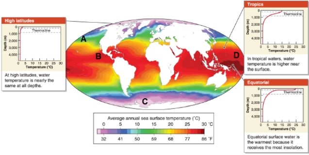 <strong> Referring to the map, which statement describes the temperature profile of ocean water for the equator?</strong> A)Water temperature is cold at all depths. B)Water temperature is warm at all depths. C)Water temperature is higher near the surface than at depth. D)Surface water temperature is the highest of any latitude because it receives the most insolation.