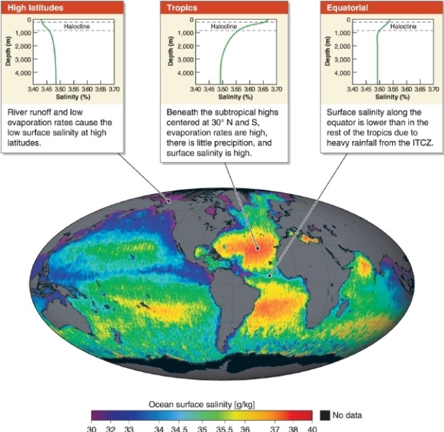 -Referring to the variation in ocean salinity map, which statement describes ocean water salinity at high latitudes?