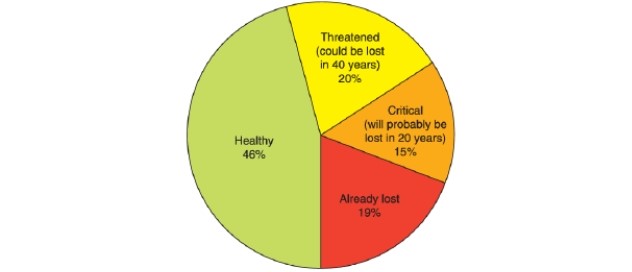 -According to the pie chart, __________ percent of coral reefs today are classified as healthy.