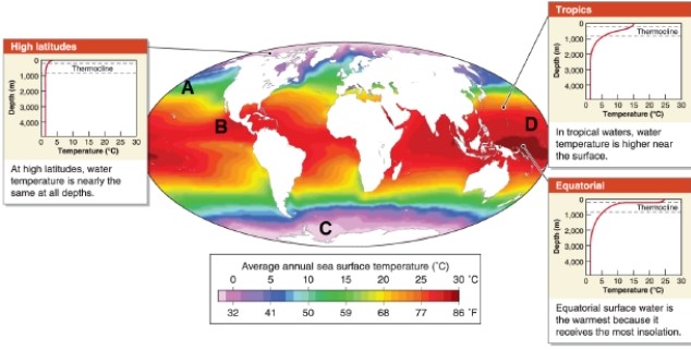 -Referring to the map, which statement describes the temperature profile of ocean water for high latitudes?