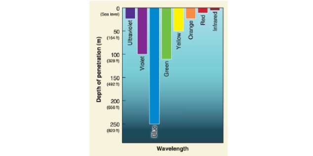 -According to the figure, which wavelengths of insolation penetrate least in seawater?