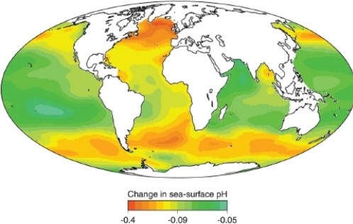 -Which area on the map shows the area of least change in seawater pH?