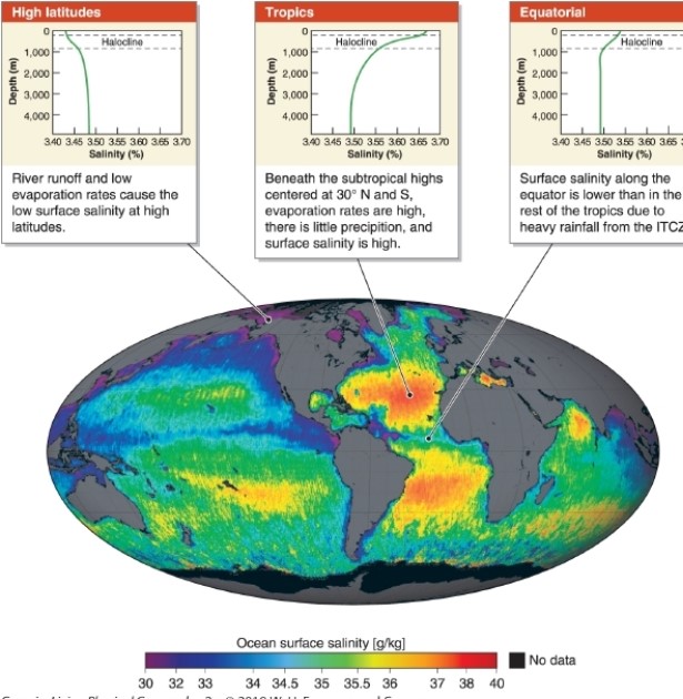 -Due to factors causing corals to decline, by 2050 scientists estimate that __________ percent of corals reefs could be threatened.