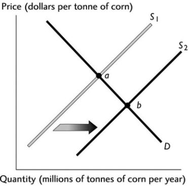 <strong> The above figure illustrates the market for corn. If point 'a' represents the original equilibrium and point 'b' the new equilibrium, which of the following could have caused the change?</strong> A) An increase in the number of corn growers. B) An increase in the cost of the fertiliser used to grow the corn. C) An increase in the price of wheat, a substitute in production for corn. D) An increase in income if corn is a normal good. E) A belief among corn farmers that the price of a tonne of corn will be higher next month.