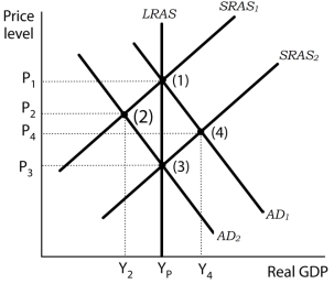 <strong>Use the following to answer questions Exhibit: Responses to a Decrease in Aggregate Demand (Exhibit: Responses to a Decrease in Aggregate Demand) The economy is initially in equilibrium at point (1) .Now suppose a reduction in the money supply causes aggregate demand to fall to AD<sub>2</sub>.Which of the following explains the new classical view regarding economic agents' response to the decrease in money supply?</strong> A)Consumers and firms observe that the money supply has fallen and that the price level has fallen to P<sub>2</sub>.Consumers respond by increasing their demand for output and firms in turn increase their supply to meet the rising demand.The economy moves back to point (1). B)Consumers and firms observe that the money supply has fallen and that the price level has fallen to P<sub>2</sub>.To prevent further reductions in the price level, firms increase output at the same time as consumers increase aggregate demand.The economy moves to point (4), bypassing point (3). C)Consumers and firms observe that the money supply has fallen and anticipate the eventual reduction in the price level to P<sub>3</sub>.They adjust their expectations accordingly.Workers agree to lower nominal wages, and the short-run aggregate supply curve shifts to SRAS<sub>2</sub> at the same time as aggregate demand falls, bypassing point (2). D)Consumers and firms observe that the money supply has fallen and anticipate the eventual reduction in the price level to P<sub>4</sub>.They adjust their expectations accordingly.Workers agree to lower nominal wages, and the short-run aggregate supply curve shifts to SRAS<sub>2</sub> at the same time as aggregate demand rises, moving the economy to point (4).