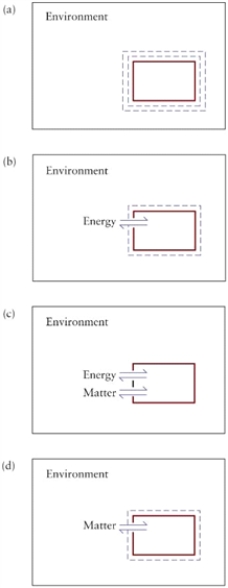 <strong>Figure 7.1 Which sketch of the system and its interaction with the environment represents a closed system?</strong> A)sketch a B)sketch b C)sketch c D)sketch d