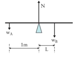 <strong>Figure 6.2 Force diagram with masses at each end of a pivoted bar of length (L+1) m. A person of mass 70 kg stands 0.5 m from one end of a 2 m long uniform plank (of negligible mass) that is being held in equilibrium by two vertical ropes attached to the ends of the plank. What is the tension in the rope closer to the person?</strong> A)23 N B)47 N C)229 N D)457 N