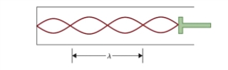 <strong>Figure 15.1 The figure shows a standing wave in a closed tube. The tube in Fig. 15.1 is filled with air. What is the fundamental frequency of the tube if ë in the figure is 65.55 cm? The speed of sound in air is 343 m/s.</strong> A)523.3 Hz B)261.6 Hz C)130.8 Hz D)65.4 Hz