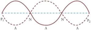 <strong>Figure 15.2 The figure shows pressure nodes in a tube that is open on both ends. For the wave in Fig. 15.2, what is the fundamental frequency if the distance between two pressure nodes is 30 cm? The speed of sound in air is 343 m/s.</strong> A)f = 190.6 Hz B)f = 381.1 Hz C)f = 571.7 Hz D)f = 1143.3 Hz