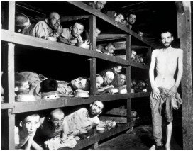 <strong>The image of Holocaust survivors shows emaciated men in the Buchenwald concentration camp in Germany after liberation by American troops of the 80th Army Division. What explains the facial expressions of these men?  </strong> A) The joy of liberation and enthusiasm for a new life in the United States B) The fear of the American liberators C) The lack of concern about events around them D) The deep scars their ordeal left on their bodies and souls <div style=padding-top: 35px> 