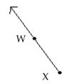 <strong>Identify the figure as a line, a ray, a line segment, or an angle. Then name the figure using the given points. - </strong> A)ray; \overrightarrow { \mathrm { XW } } B)ray;ray; \overrightarrow { \mathrm { WX } } C)line segment;t; \overline { \mathrm { XW } } D)line;ine; \overleftrightarrow { W X }
