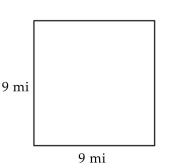Find the area of the rectangle. - 