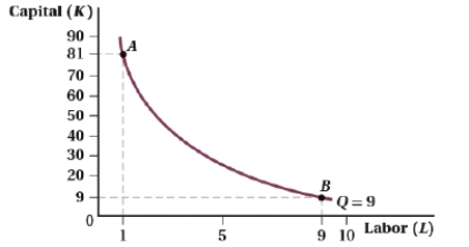 <strong>(Figure: Capital and Labor XVI) Consider the production function Q = L<sup>0.5</sup>K<sup>0.5</sup>, with MP<sub>K</sub> = L<sup>0.5</sup>/K<sup>0.5</sup> and MP<sub>L</sub> = K<sup>0.5</sup>/L<sup>0.5</sup>. The slope of the isoquant at Point A is ____.</strong> A) -81 B) 81 C) -9 D) 9