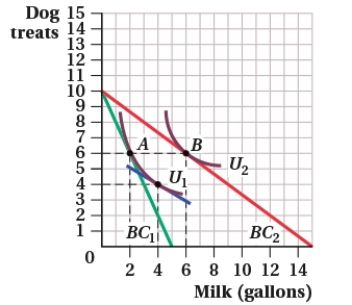 <strong>(Figure: Dog Treats and Milk I) When the price of milk drops, the substitution effect _____ the quantity of milk consumed from _____.  </strong> A) increases; 2 to 6 gallons B) increases; 4 to 6 gallons C) decreases; 6 to 2 gallons D) increases; 2 to 4 gallons <div style=padding-top: 35px> 