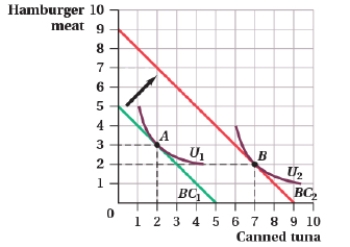 <strong>(Figure: Hamburger Meat and Canned Tuna I) Hamburger meat is a(n) _____ good and canned tuna is a(n) _____ good.  </strong> A) normal; normal B) inferior; normal C) inferior; inferior D) normal; inferior <div style=padding-top: 35px> 