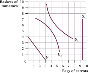 <strong>(Figure: Tomatoes and Carrots IV) Which of these indifference curves is convex to the origin? </strong> A) U<sub>1</sub> B) U<sub>2</sub> C) U<sub>3</sub> D) U<sub>4</sub>