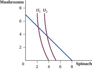 <strong>(Figure: Mushrooms and Spinach I) The consumer maximizes utility by consuming: </strong> A) 7 mushrooms and no spinach. B) 8 units of spinach and no mushrooms. C) on indifference curve U<sub>2</sub>. D) approximately 4 mushrooms and 4 units of spinach.