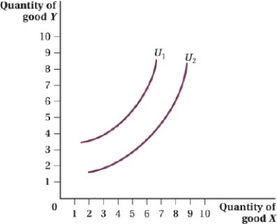 <strong>(Figure: Good Y and Good X II) What type of good is good X, assuming a person increases the level of happiness when consuming more of good Y? </strong> A) perfect substitute B) perfect complement C) bad D) neutral good
