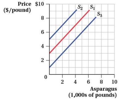 <strong>(Market for Asparagus I) What could cause the supply curve in the market for asparagus to shift from S<sub>1</sub> to S<sub>2</sub>?  </strong> A) an increase in the number of asparagus farmers B) poor weather conditions that reduce the asparagus harvest C) better fertilizers that lower the costs of production D) a decrease in the price of asparagus <div style=padding-top: 35px> 