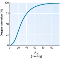 Llamas, which are customarily known as mountain dwellers, have hemoglobin with a higher O<sub>2</sub> binding affinity than that of humans. That being said, how would you predict the llama hemoglobin-O<sub>2</sub> dissociation curve would differ from that of a human? (See diagram below.)