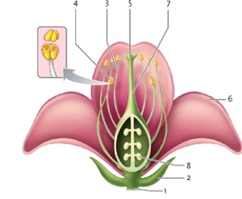 Figure 35-1 -In Figure 35-1, what is item number 1?