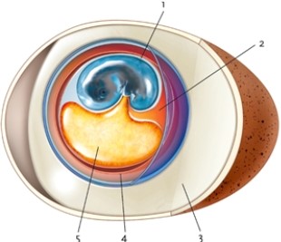 Figure 27-1 -In Figure 27-1, what is the item labelled number 3?