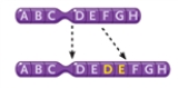 <strong>Figurer 10-3   In Figure 10-3, what type of change in the chromosomes is depicted?</strong> A) a deletion B) a reciprocal translocation C) an inversion D) a duplication <div style=padding-top: 35px> 