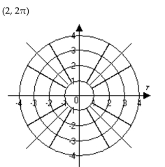 Graph the point. - 