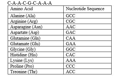 <strong>What is the amino acid sequence of the codons? </strong> A) Gln-Arg-Lys B) Lys-Gly-Asn C) Glu-Gly-Lys D) Asn-Ala-Pro