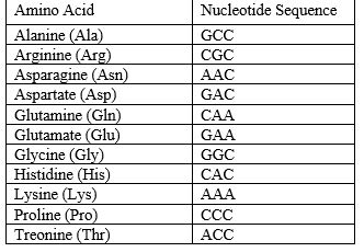 <strong>What is the nucleotide sequence for the section of a protein consisting of His-Thr-Arg-Asp. </strong> A) CACACCCGCGAC B) CACCCCAACCGC C) CAGCGCCCACAC D) GTGTGGGCGCTG