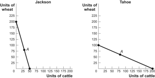 <strong>Use the following to answer questions: Figure: The Production Possibility Frontiers for Jackson and Tahoe (Figure: The Production Possibility Frontiers for Jackson and Tahoe) Look at the figure The Production Possibility Frontiers for Jackson and Tahoe. In autarky, Jackson produces and consumes 30 head of cattle and 80 bushels of wheat, while Tahoe produces and consumes 80 head of cattle and 60 bushels of wheat. With complete specialization according to comparative advantage, the two nations' combined production of wheat will:</strong> A) remain constant. B) increase by 120 bushels. C) increase by 60 bushels. D) decrease by 60 bushels.