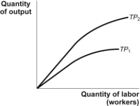 <strong>Use the following to answer questions: Figure: Change in the Total Product (Figure: Change in the Total Product) Look at the figure Change in the Total Product. As indicated by the change in a production function from TP<sub>1</sub> to TP<sub>2</sub>, the marginal product of labor curve has:</strong> A) shifted upward. B) shifted downward. C) not moved. D) become inverted.