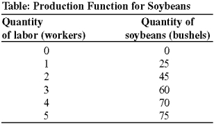 <strong>Use the following to answer questions: (Table: Production Function for Soybeans) Look at the table Production Function for Soybeans. Assume that the fixed input, capital, is 10 acres of land and a tractor, which have a combined cost of $150 per day. The cost of labor is $100 per worker per day. The fixed cost of producing 25 bushels of soybeans is:</strong> A) $50. B) $100. C) $150. D) $250.