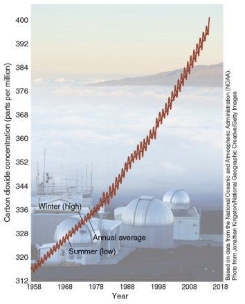 <strong>The graph below shows atmospheric concentration of CO<sub>2</sub> as recorded at the Mauna Loa Observatory. From the graph we can see that there are seasonal fluctuations in CO<sub>2 </sub>concentrations that correspond with: </strong> A)Plants taking up more carbon dioxide in the growing season. B)Temperatures fluctuating between day and night. C)Plants releasing more carbon dioxide in the growing season. D)Cattle producing more methane in the summer when they are grazing.