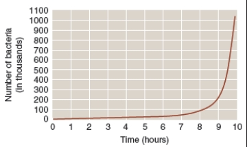 <strong>What can you conclude about the bacterial population shown in the graph?  </strong> A)Carrying capacity has been reached. B)The population is growing at its biotic potential. C)The population is growing linearly. D)Reproductive rate exceeds the ability of the environment to sustain it. <div style=padding-top: 35px> 