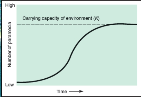 <strong>What does the graph below indicate?  </strong> A)The paramecium are dispersing to other habitats B)The environmental resistance is declining C)The population is approaching carrying capacity D)The population has reached its biotic potential. <div style=padding-top: 35px> 