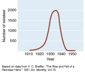 <strong>The graph below is a record of the population size of reindeer on one of the Pribilof Islands off the coast of Alaska where they were introduced in 1911. If it is known that the availability of winter forage determines the carrying capacity for reindeer, what can be interpreted from this graph?  </strong> A)The population crashed due to overgrazing by the reindeer. B)An environmental resistance factor like disease caused the population to decline somewhat. C)Some reindeer were lost to predation by wolves D)Some reindeer emigrated to another island. <div style=padding-top: 35px> 