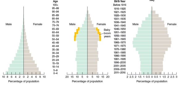 <strong>What country is representative of the age structure pyramid labeled B?   A B C</strong> A)United States. B)Mexico. C)Uganda. D)India. <div style=padding-top: 35px> 