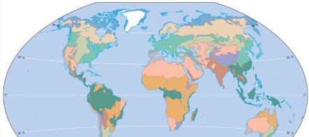 <strong>The area that is dark green on the map below would MOST likely be what kind of biome? </strong> A)chaparral B)desert C)tropical rainforest D)tundra