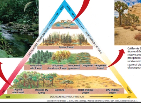 Using the diagram below, compare and contrast the characteristics of tropical desert and tropical rain forest biomes. How are the adaptations and types of plants and animals found in deserts similar and different from those found in tropical rain forests?