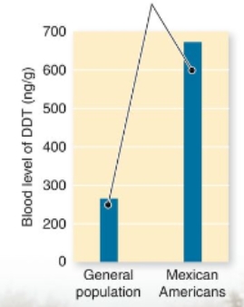 <strong>What can be interpreted from the graph below?  </strong> A)Mexican-Americans, who make up a disproportionate fraction of agricultural workers in the United States, are at higher risk from pesticides than are other groups. B)The DDT blood level for Mexican-Americans is much higher than the rest of the population. C)Mexican-Americans are genetically pre-disposed to accumulate DDT in their blood.. D)Mexican-Americans are at a higher risk of developing cancer. <div style=padding-top: 35px> 